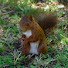 thumbnail-image